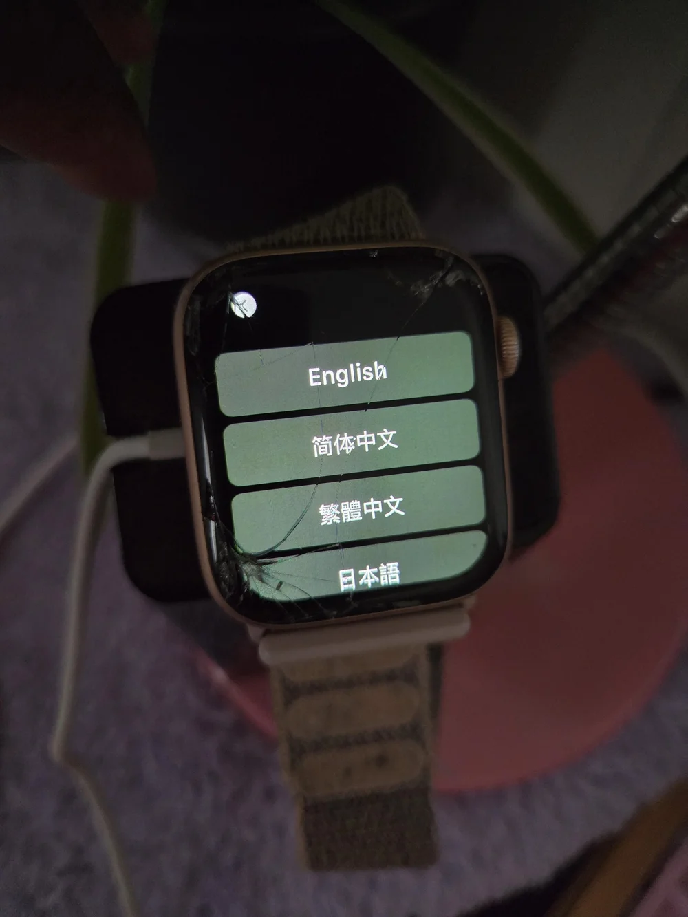 Apple Smartwatch with Beige Nylon Band